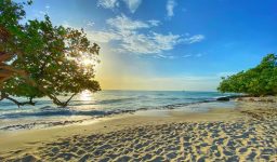 NM+ Wöchentliches Update: Aruba Edition